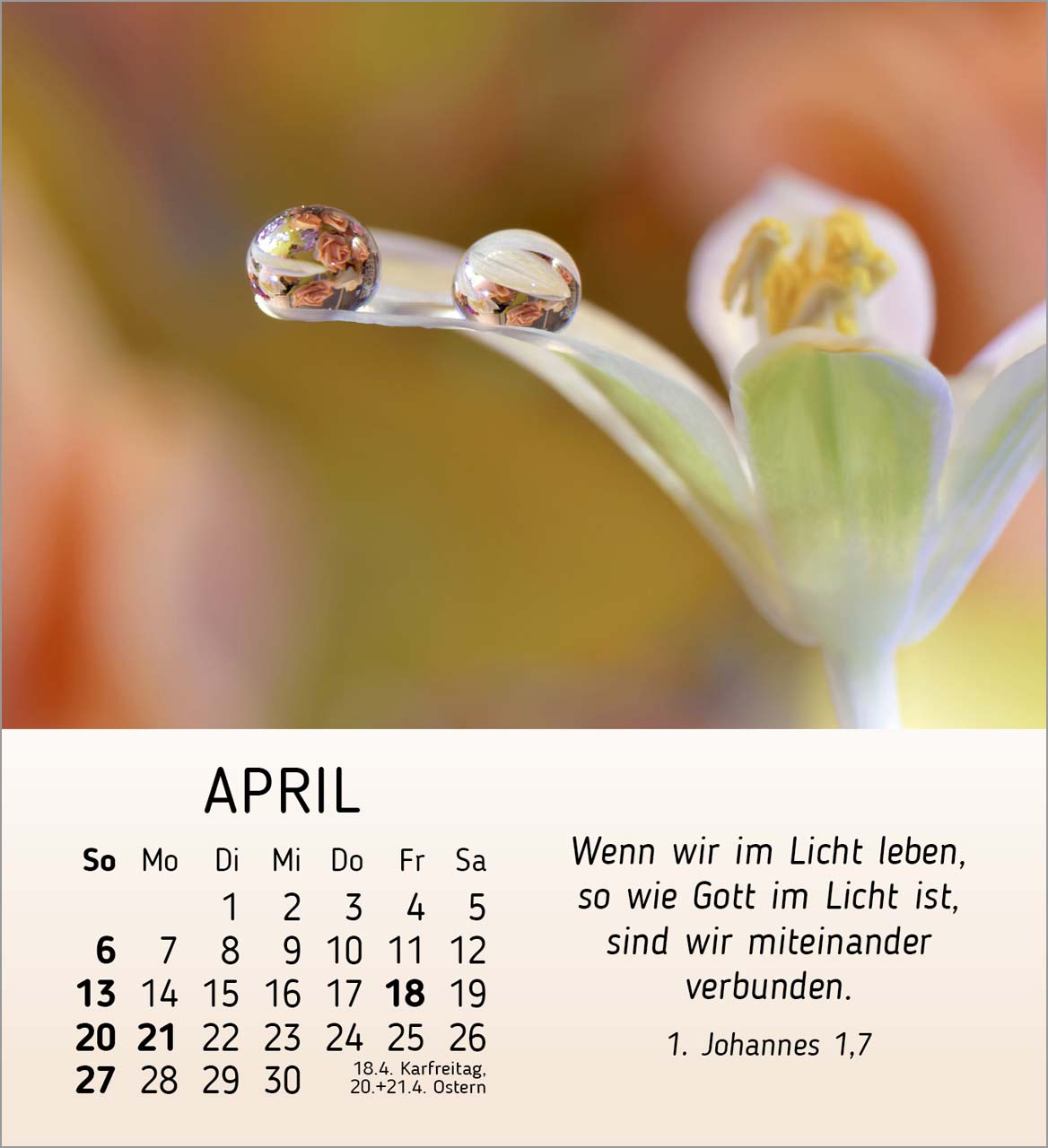 Stille Begegnungen Tischkalender