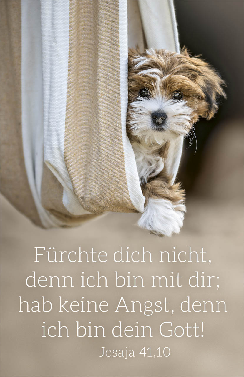 Poster Jahreslosung 2027 Hund A3