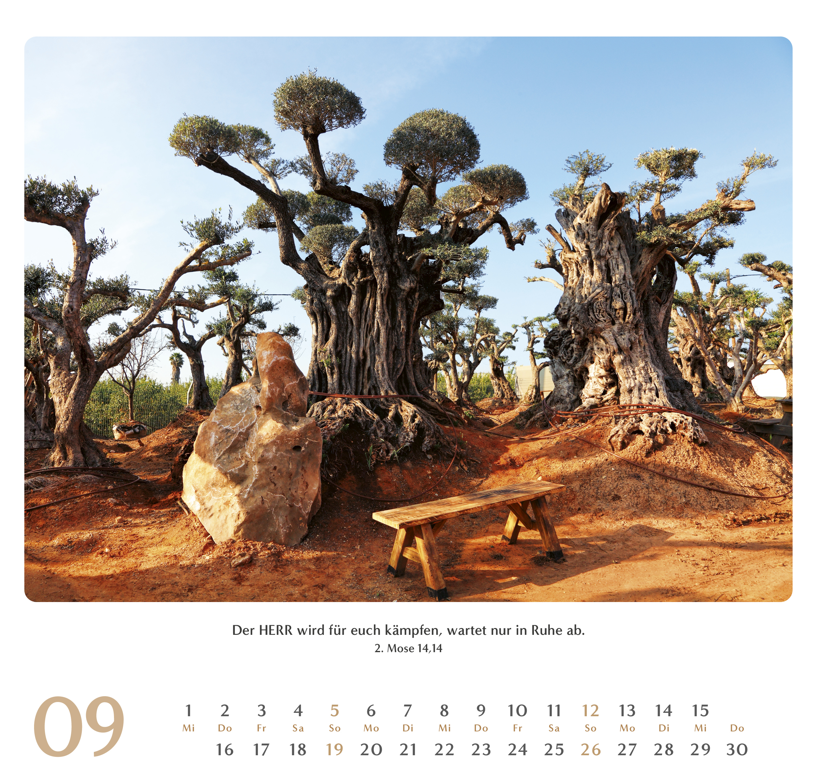 Geliebtes Israel 2027 – Wandkalender