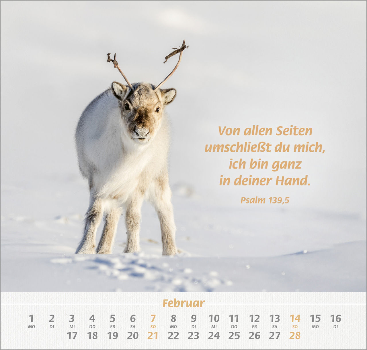 Ich hab dich gern 2027 – Wandkalender