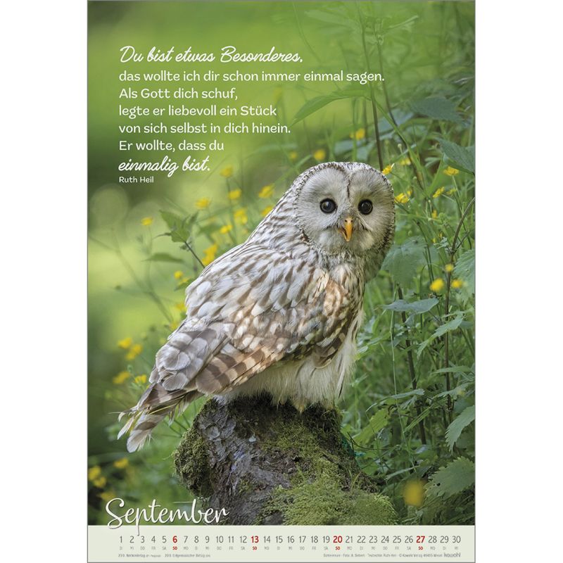 Beflügelt und getragen 2026