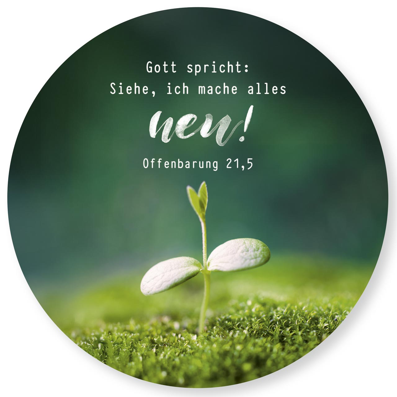 Wandschmuckbild Jahreslosung Pflanze 25cm