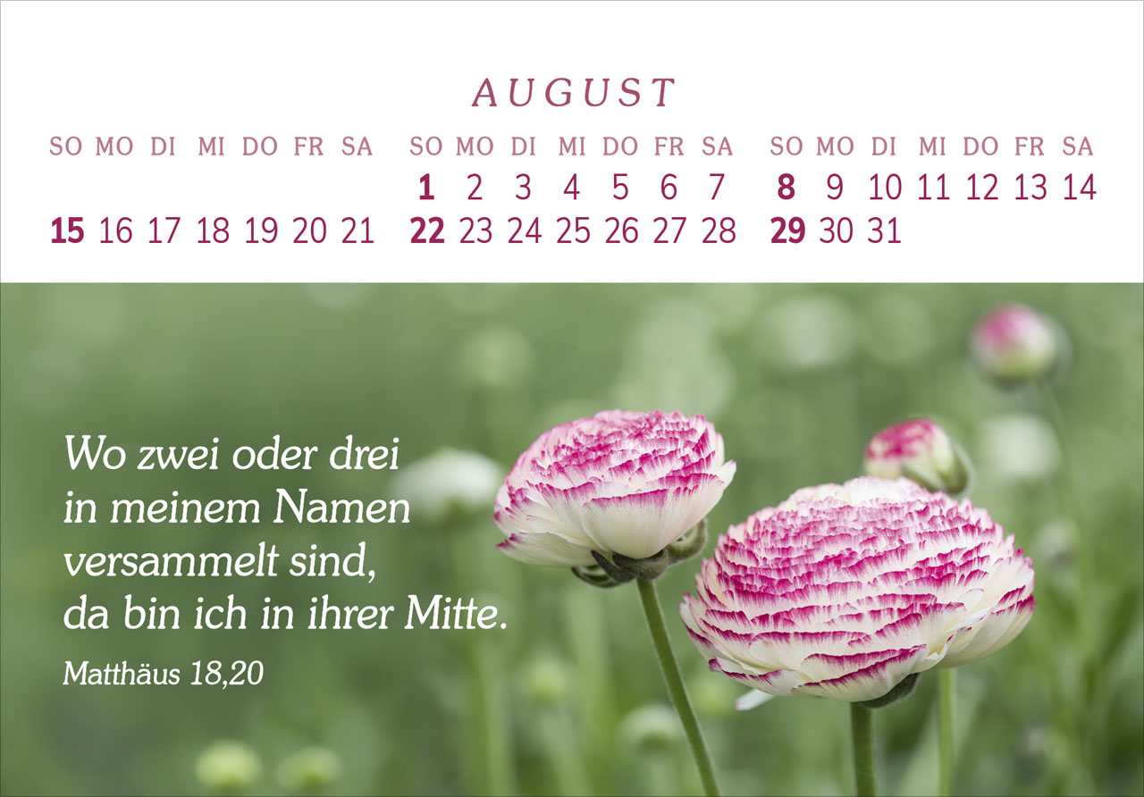 Das Geschenk der Freude 2027 – Panorama-Tischkalender