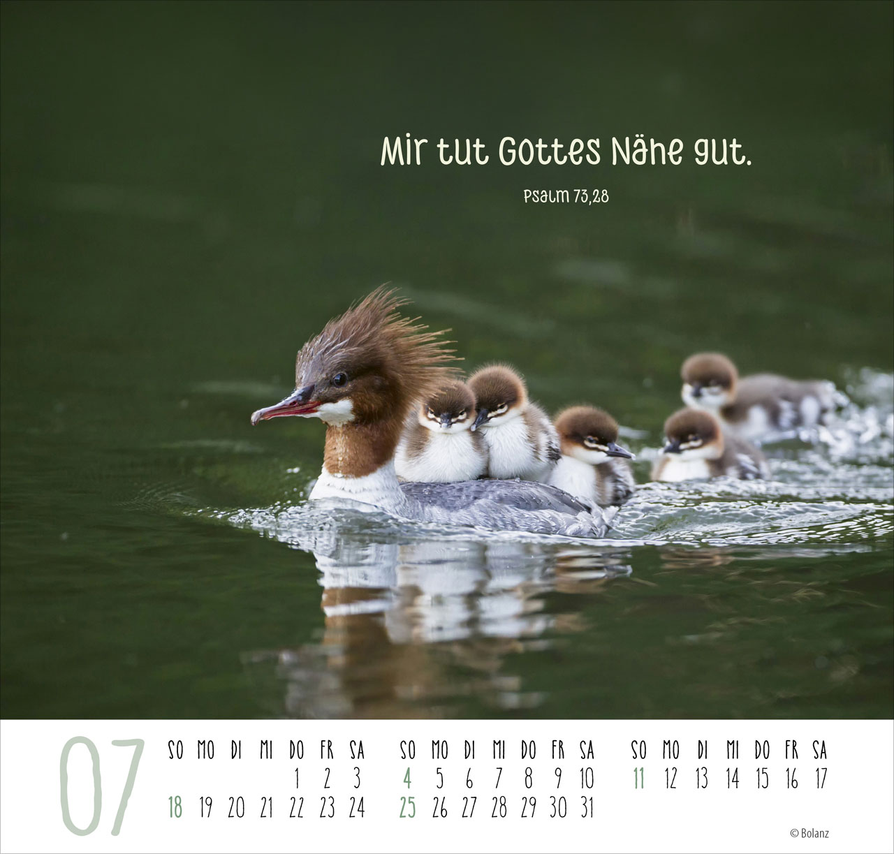 Beste Freunde – Ich mag dich 2027 – Posterkalender