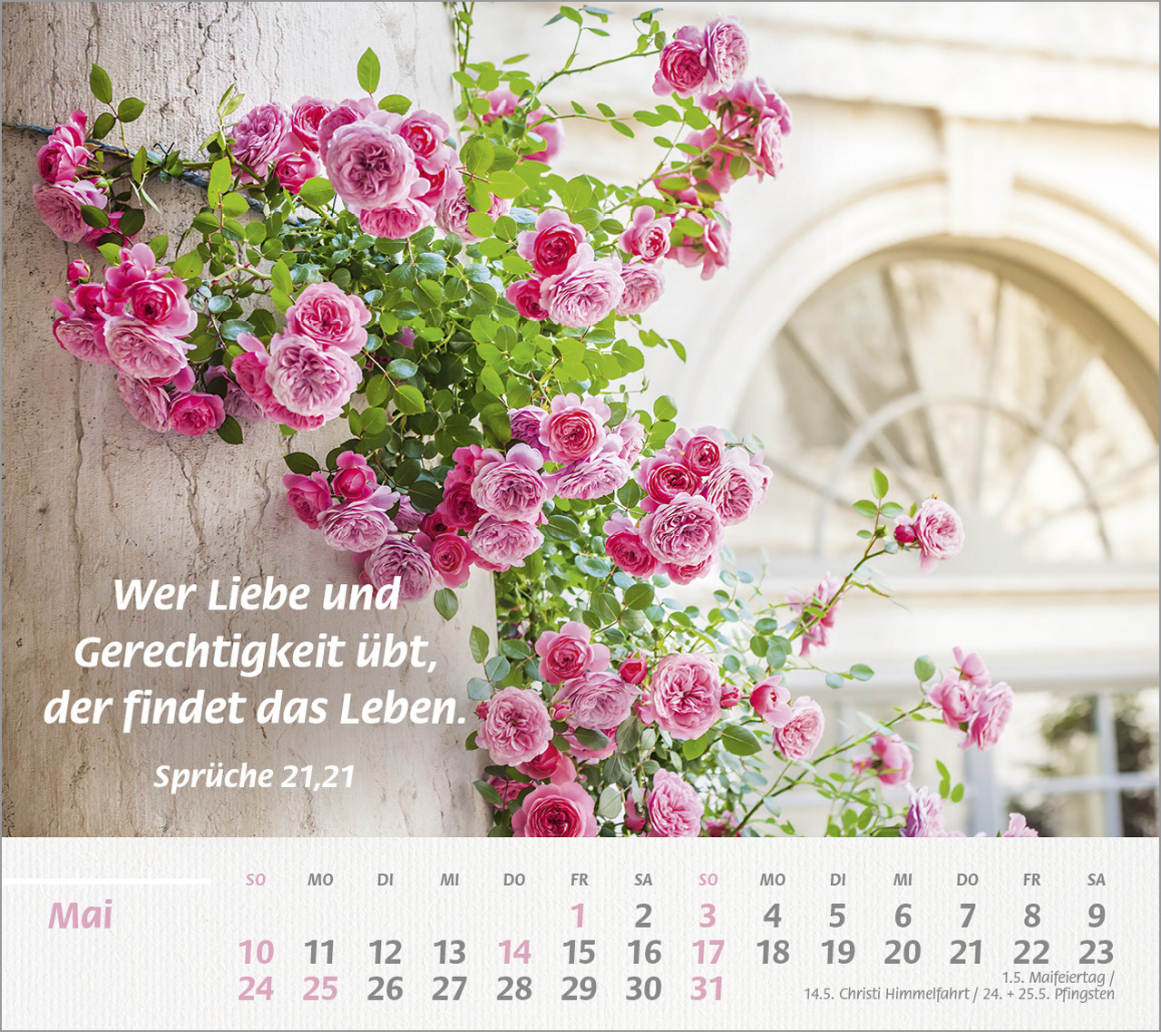 Du bist meine Stärke Großdruck-Tischkalender 2026