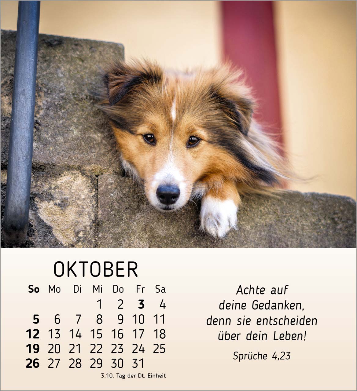 Meine kleinen Freunde 2025 - Tischkalender