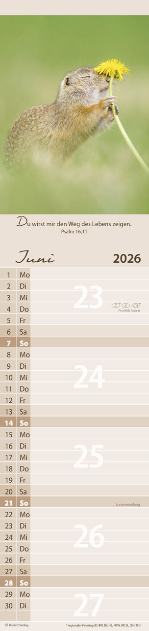 Für Euch 2026 - Streifenterminplaner