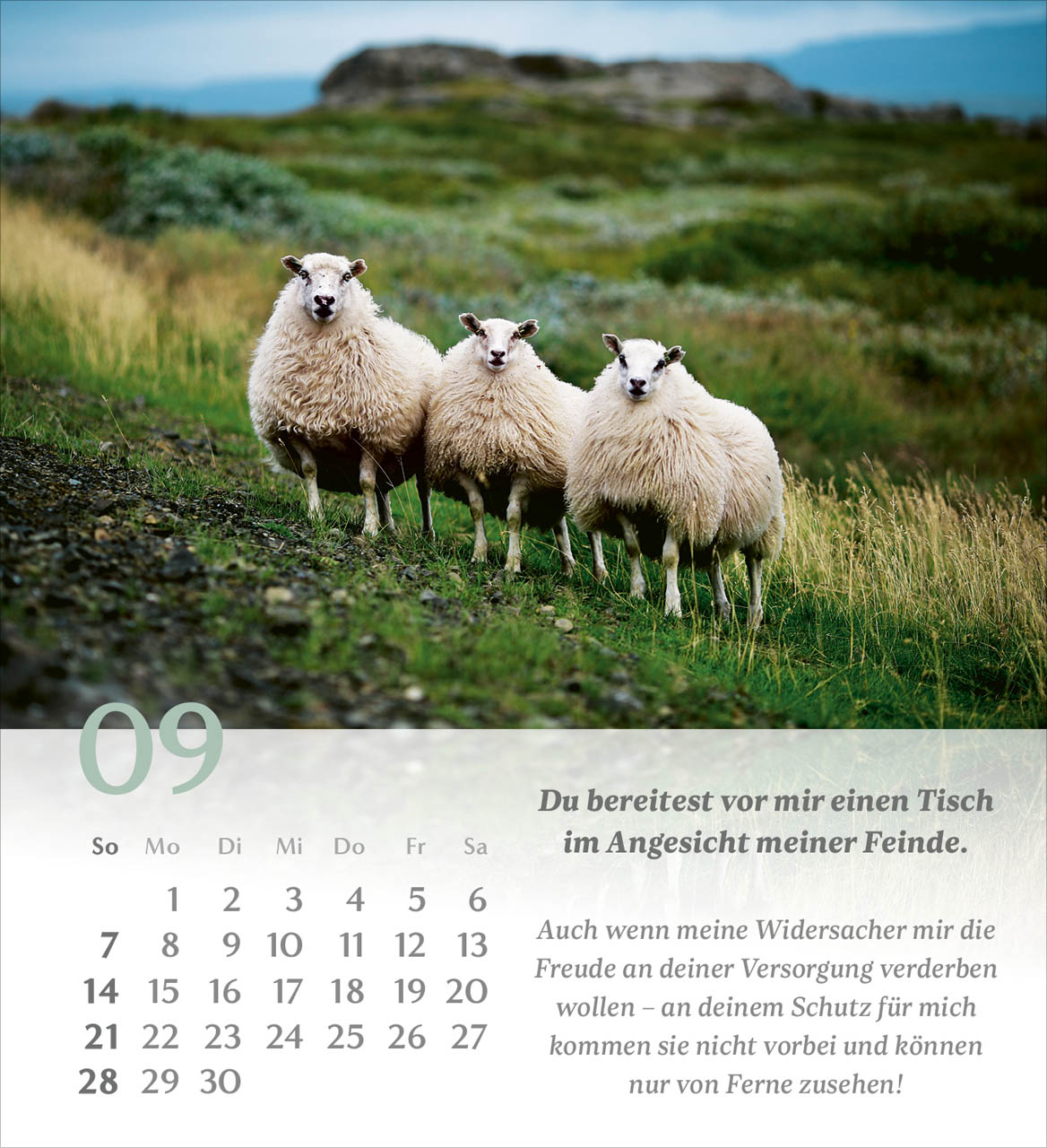 Psalm 23 Tischkalender