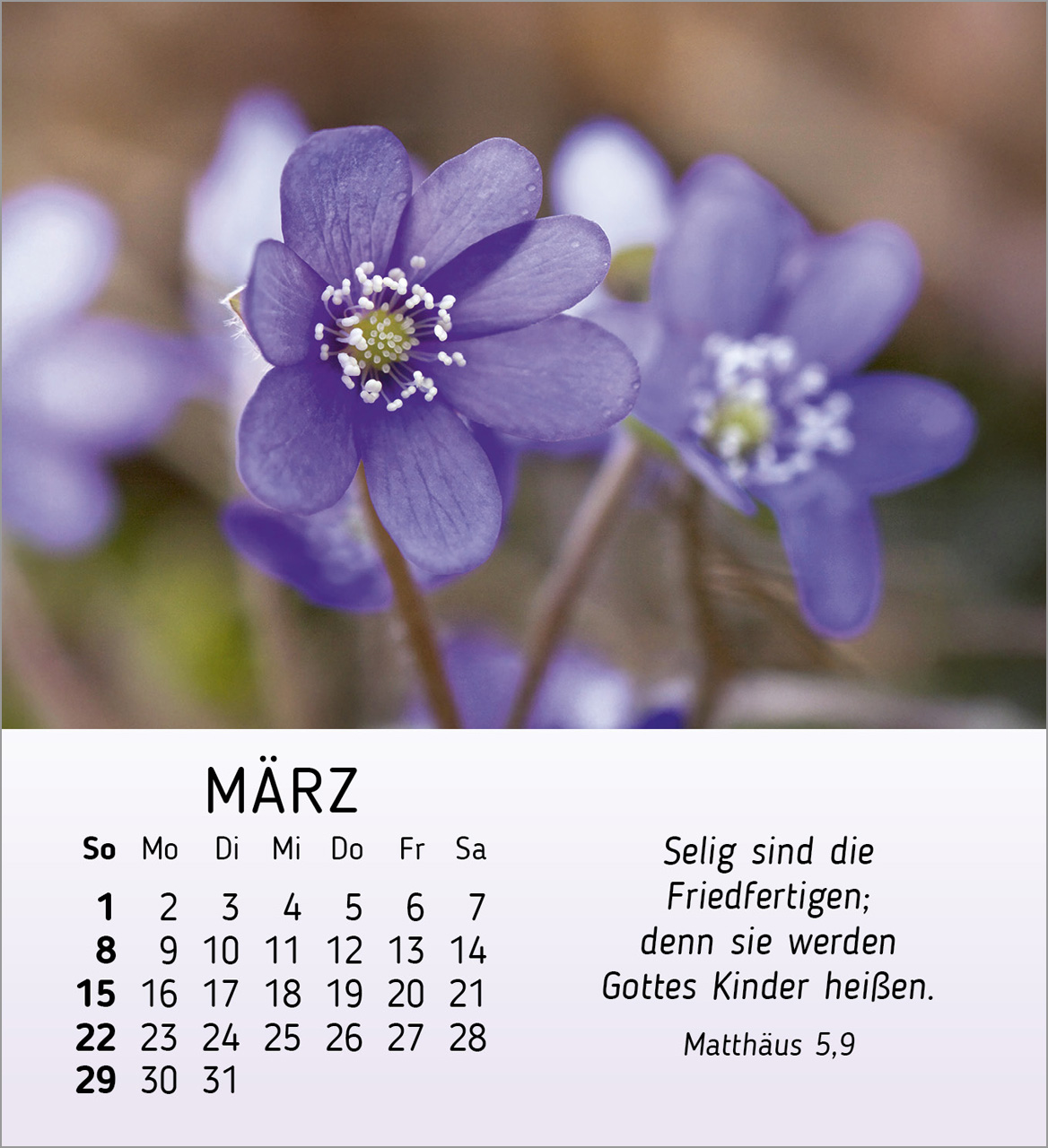 Ich wünsche dir Freude Tischkalender 2026