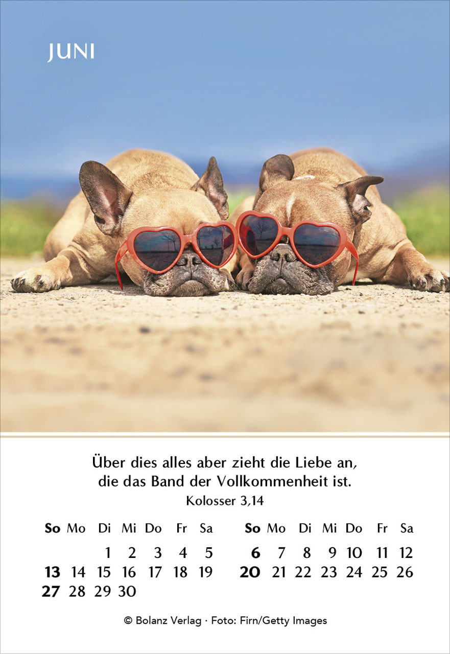 Ein Jahr der Geborgenheit 2027 Minikalender