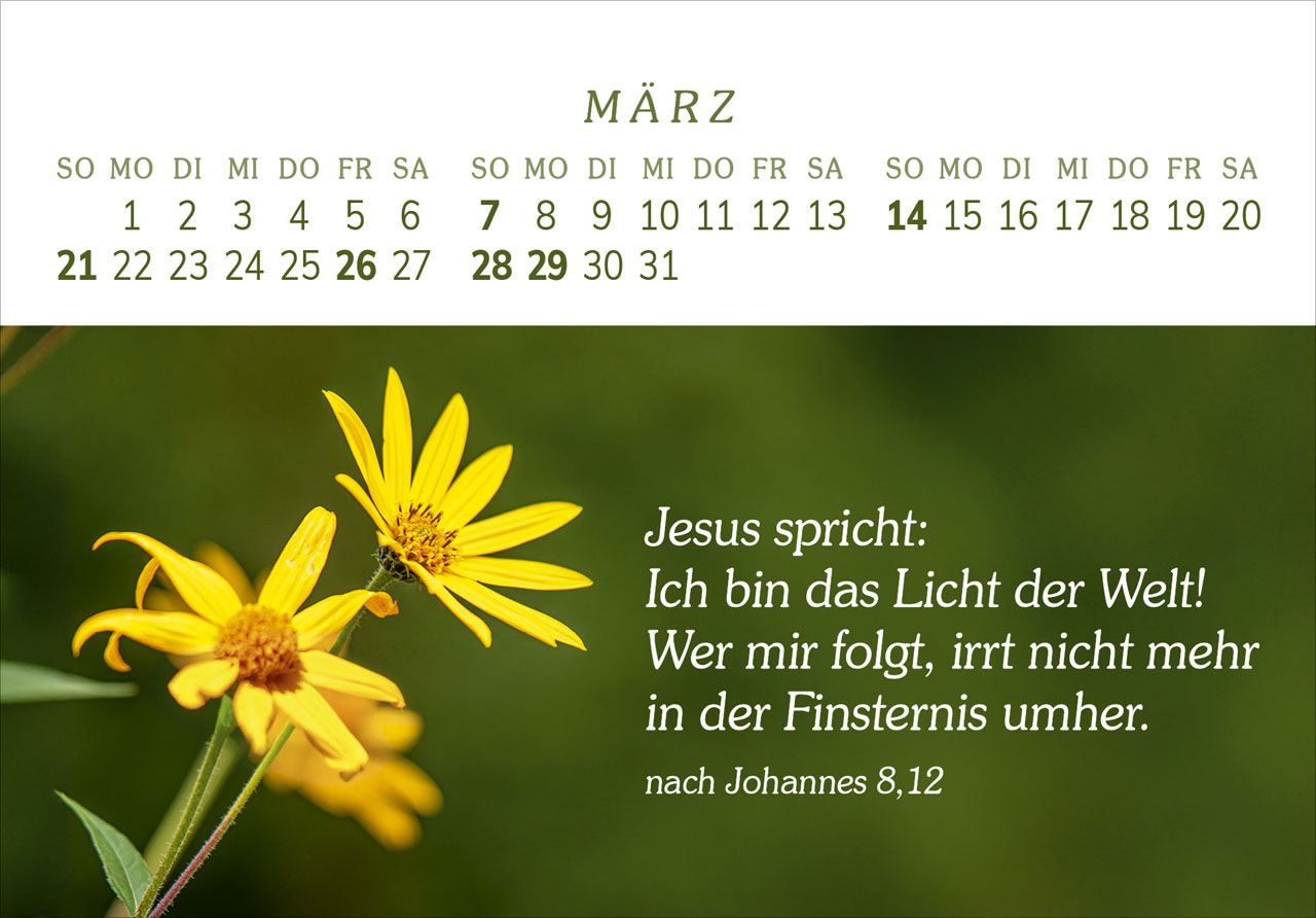 Das Geschenk der Freude 2027 – Panorama-Tischkalender
