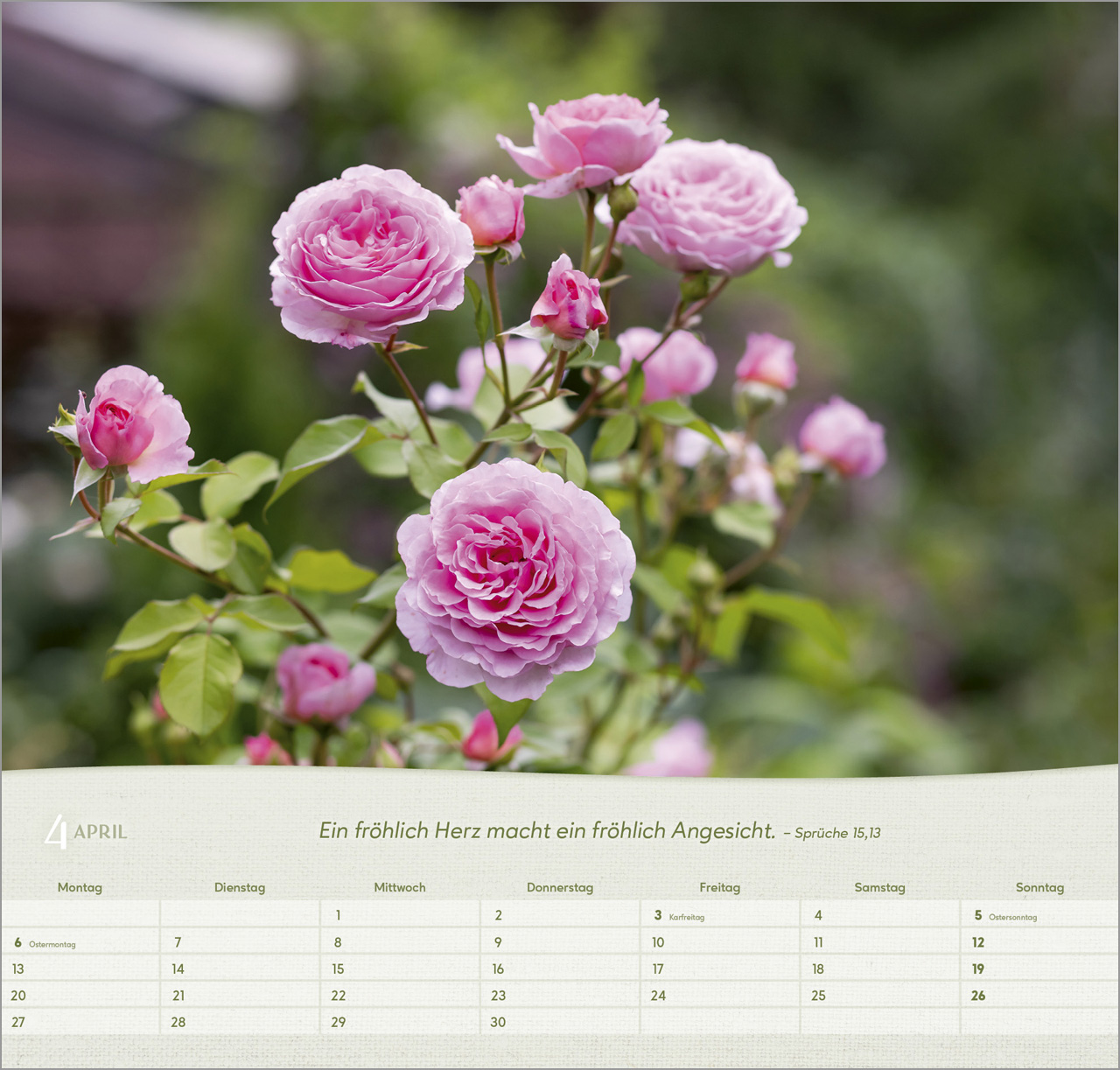 Rosen Wandkalender 2026