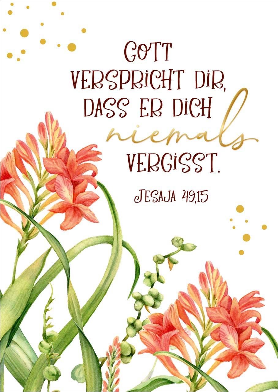 Postkarte Niemals vergisst