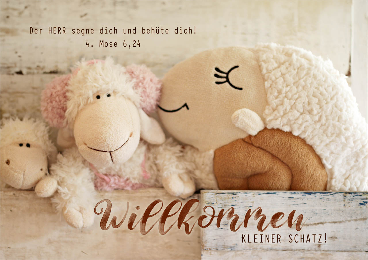 Faltkarte zur Geburt mit Kuscheltieren