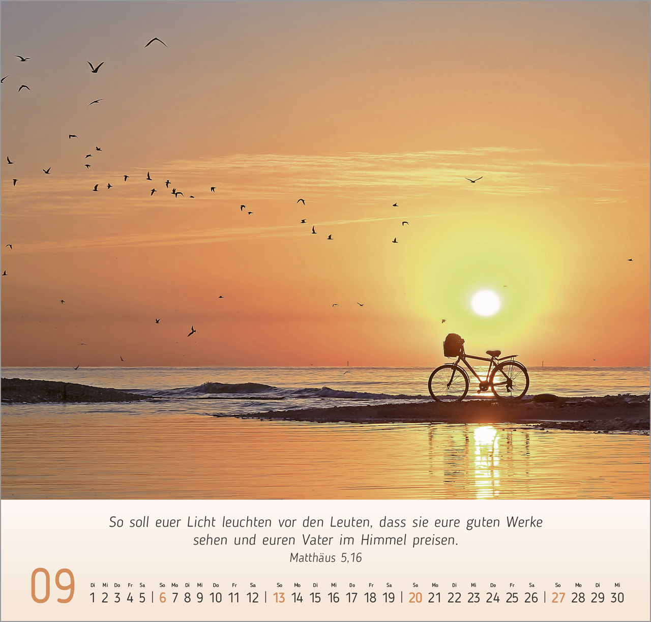 Licht Impressionen Wandkalender 2026