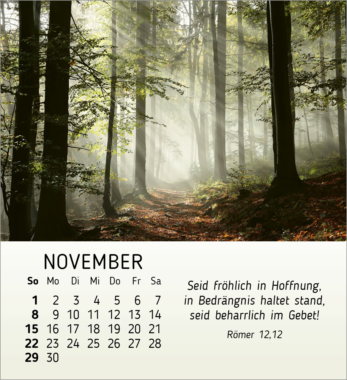 Schöheit des Lichts Tischkalender 2026 Schöheit des Lichts Tischkalender 2026