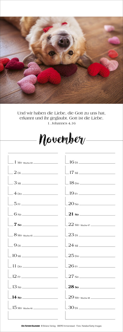 Denk dran 2027 – Streifenterminkalender