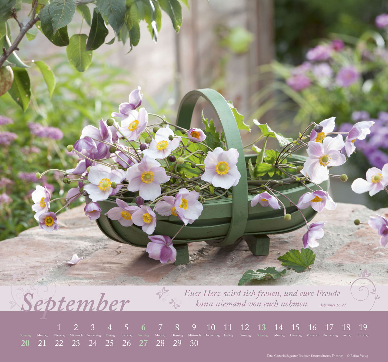 Im Garten zuhause 2026 - Wandkalender