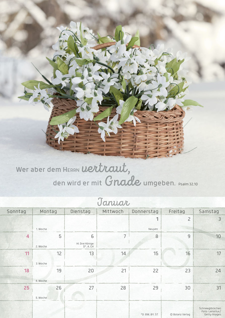 Momente der Freude 2026 - Posterkalender