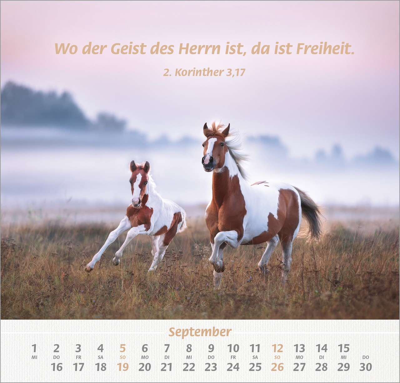 Ich hab dich gern 2027 – Wandkalender