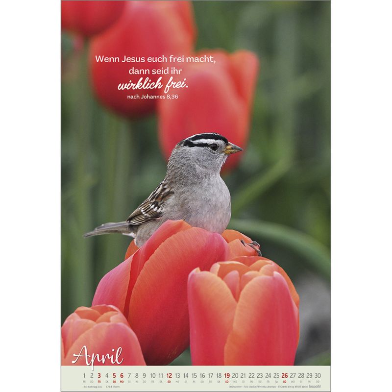 Beflügelt und getragen 2026