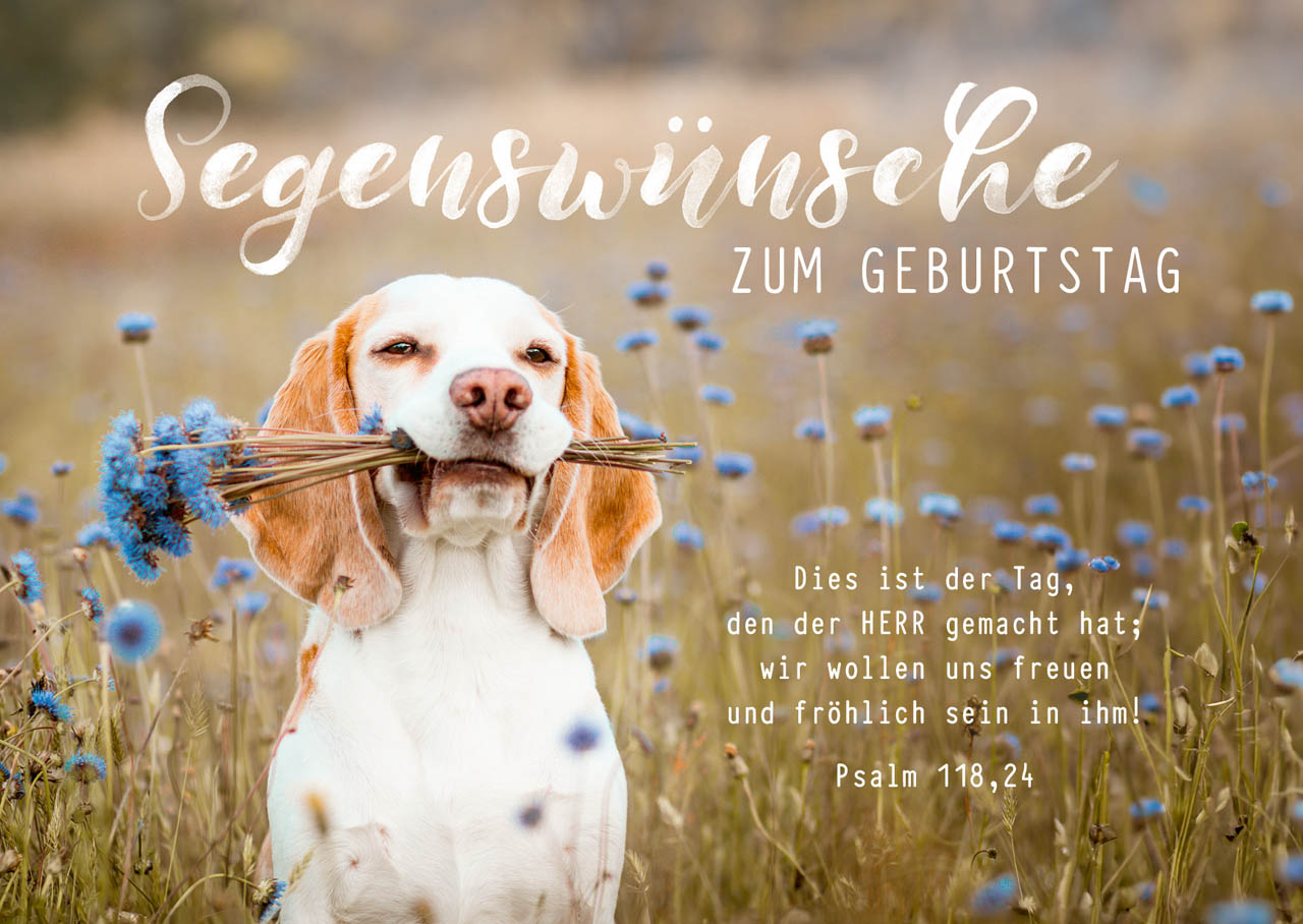 Postkarte süßer Hund zum Geburtstag