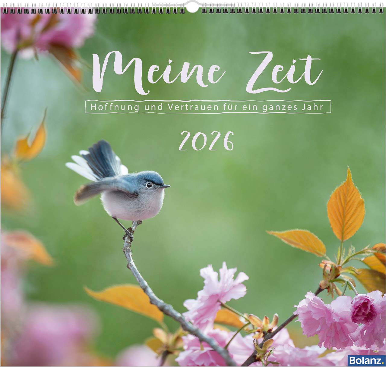 Meine Zeit 2026 - Wandkalender