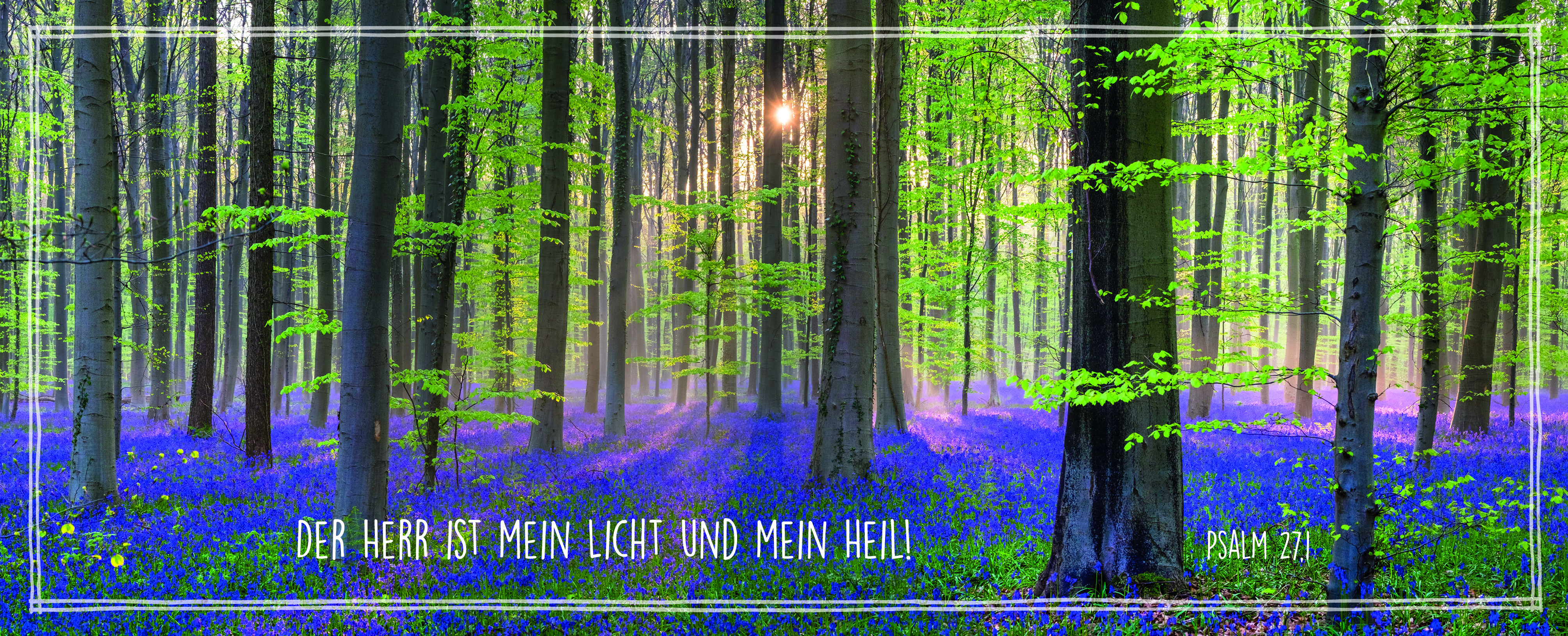 Metallschild Wald