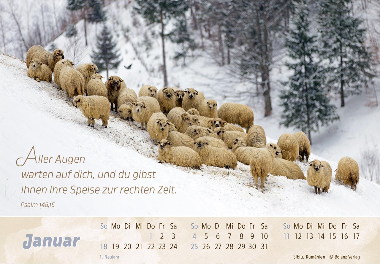 Der Gute Hirte 2026 - Panoramakalender