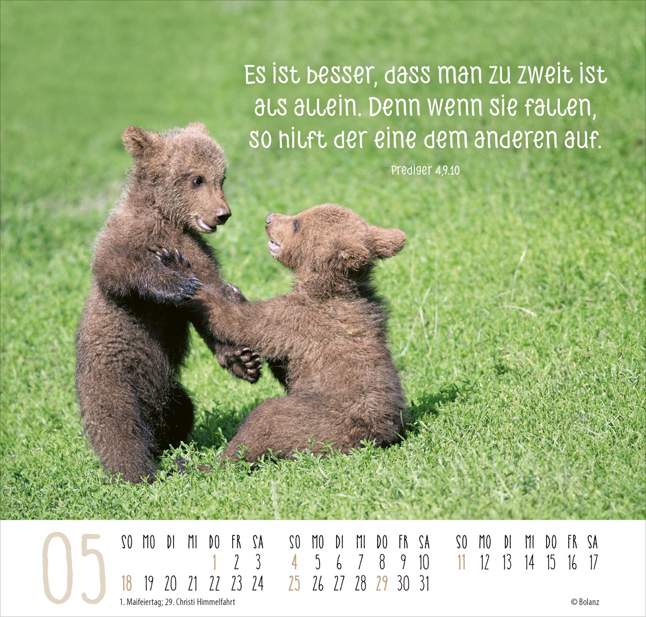 Beste Freunde - Ich mag dich 2025 - Posterkalender