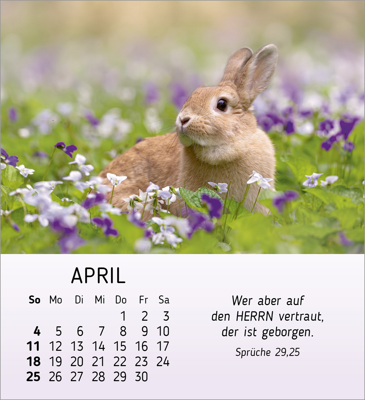 Meine kleinen Freunde 2027 – Tischkalender