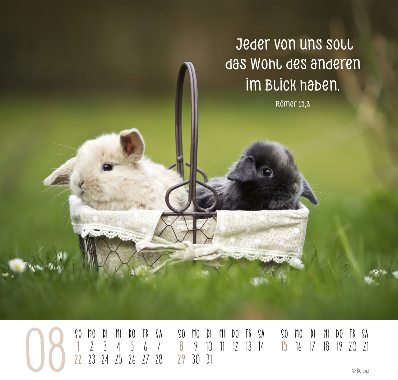 Beste Freunde – Ich mag dich 2027 – Posterkalender