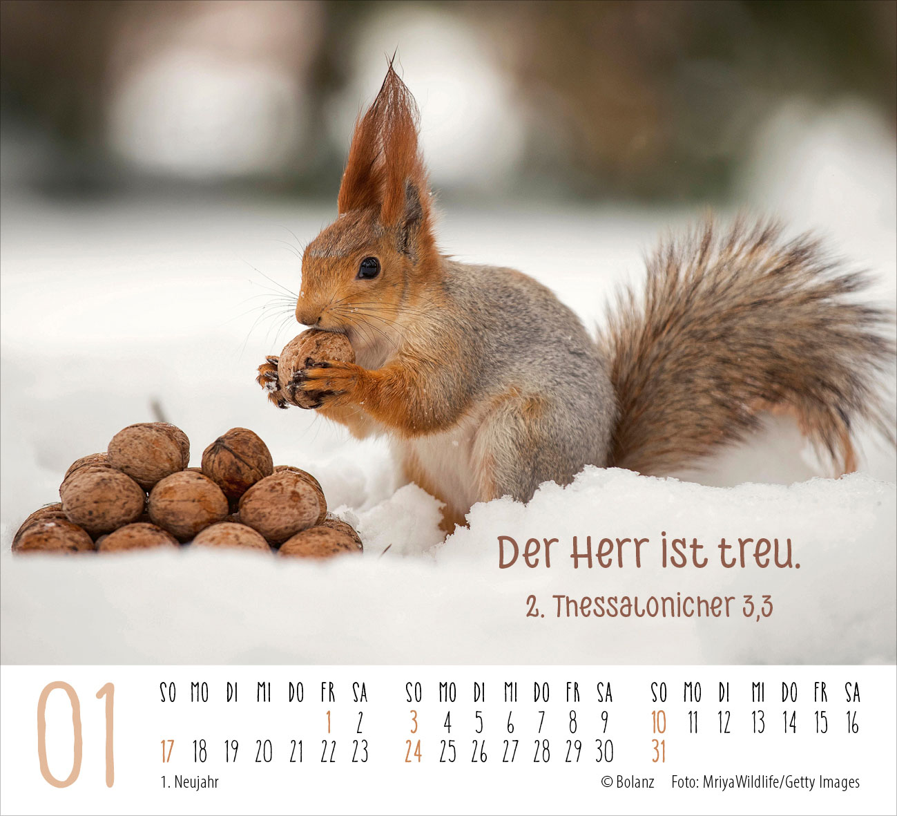 Begegnungen – dich vergess ich nie 2027 – Minikalender