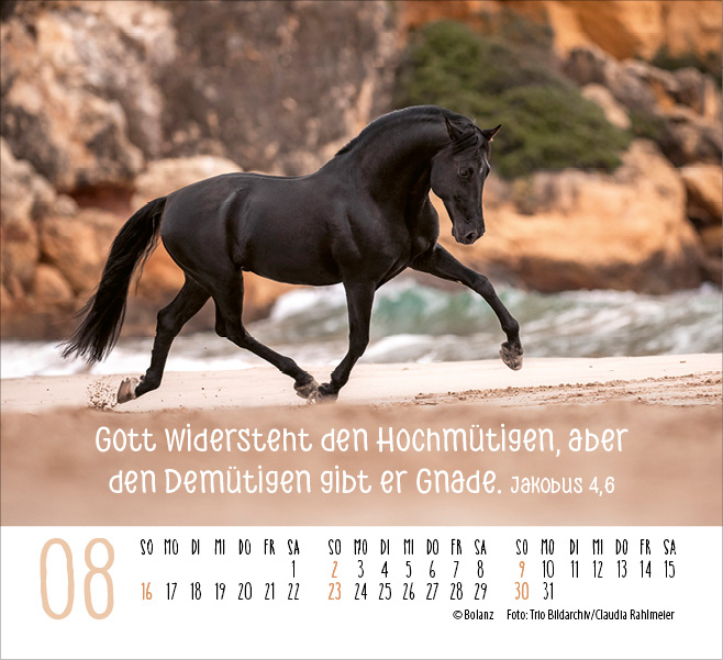 Pferde - elegante Schönheiten - Minikalender 2026 Pferde - elegante Schönheiten - Minikalender 2026