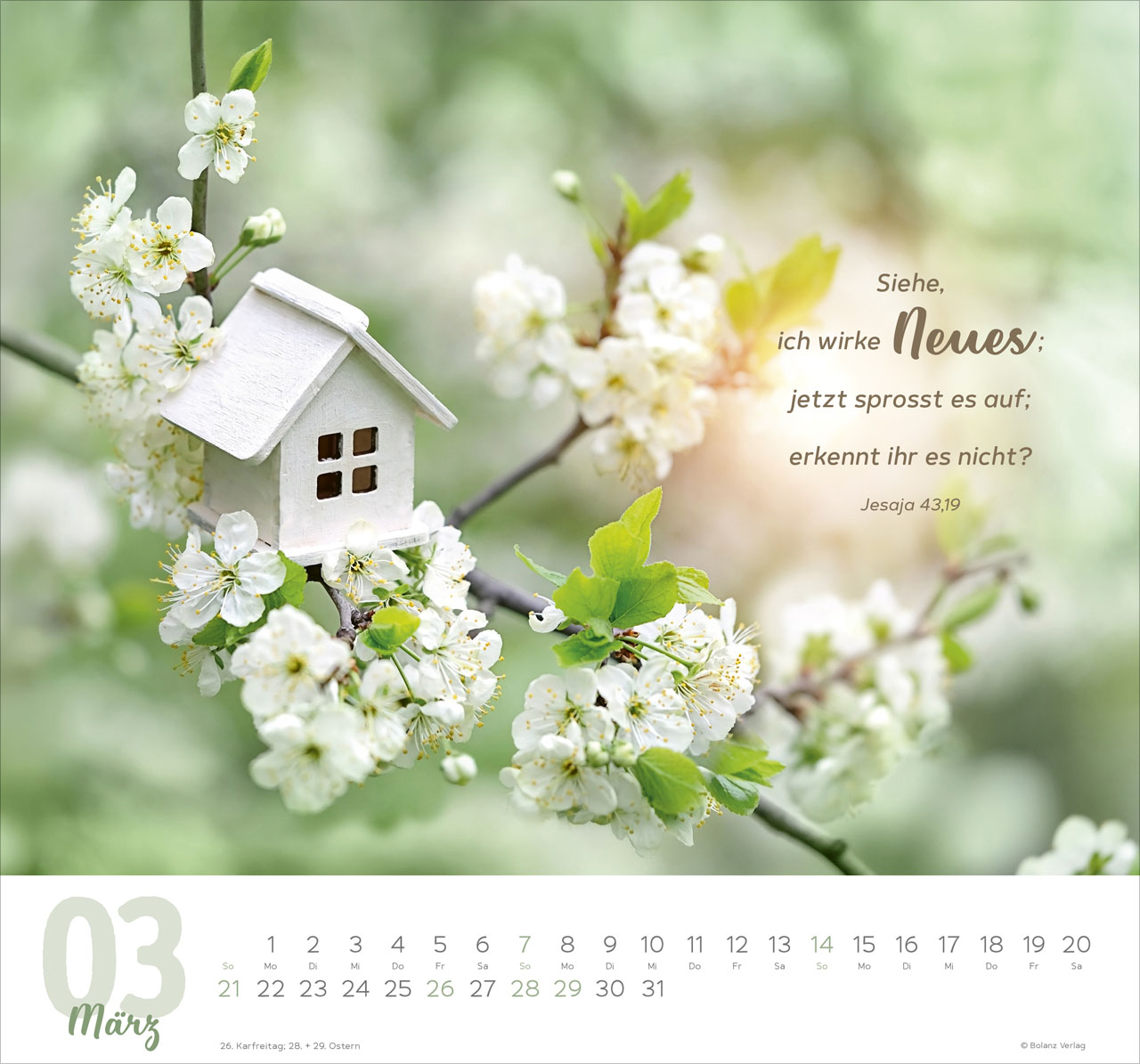 Meine Zeit 2027 – Wandkalender