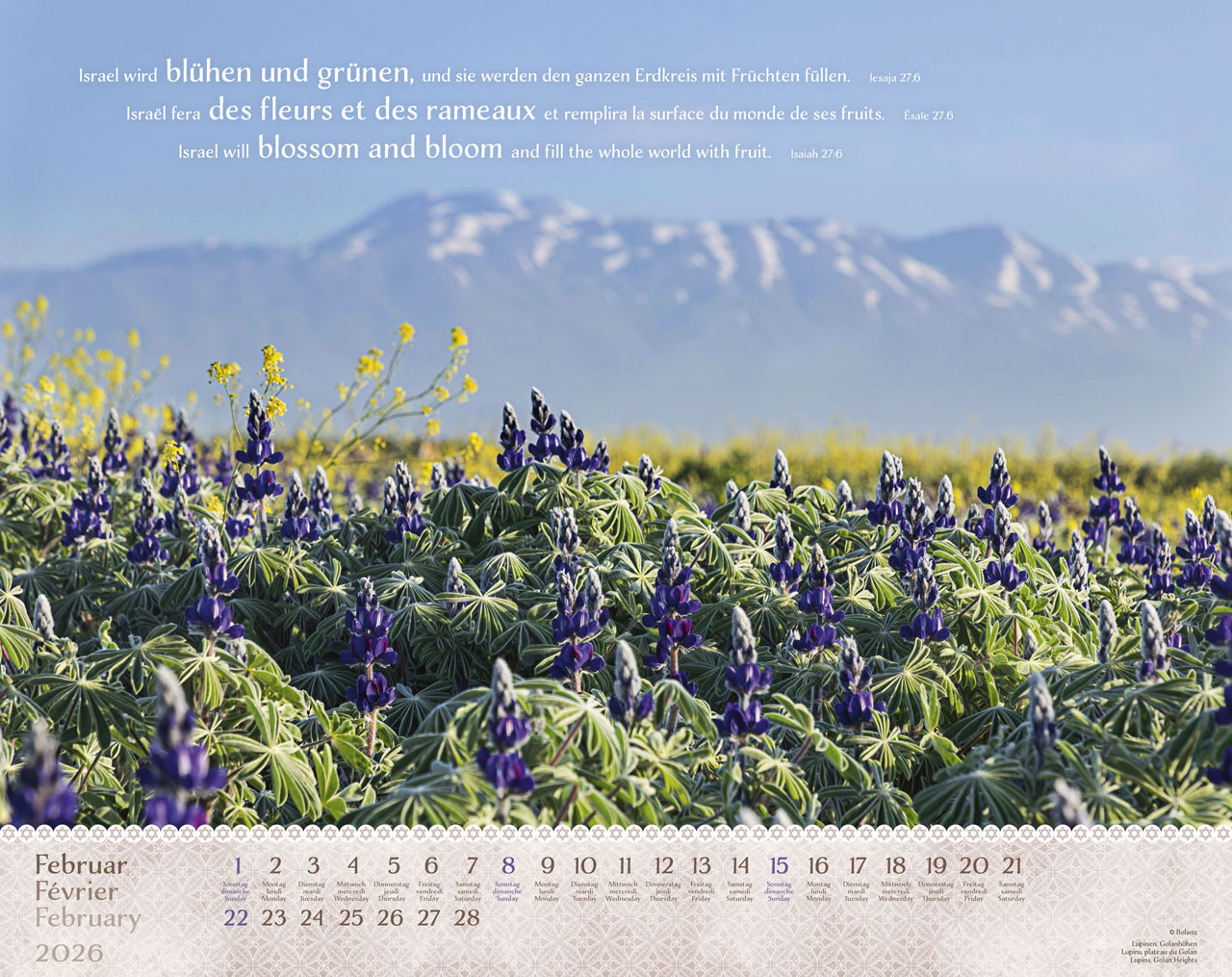 Israel Shalom 2026 - Wandkalender Israel Shalom 2026 - Wandkalender