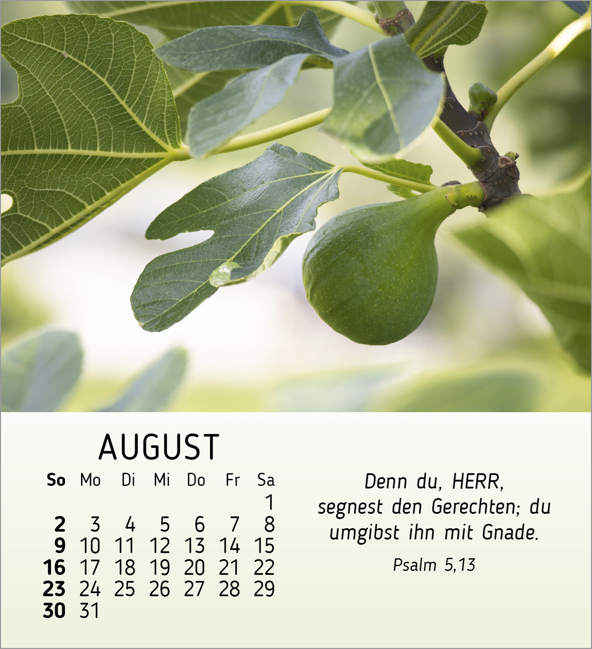 Stille Begegnungen Tischkalender 2026 Stille Begegnungen Tischkalender 2026