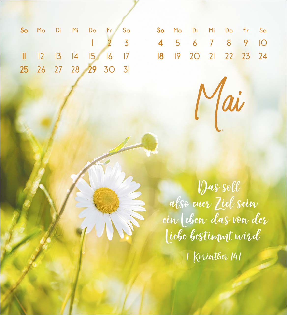 Zarte Blumengrüße Tischkalender