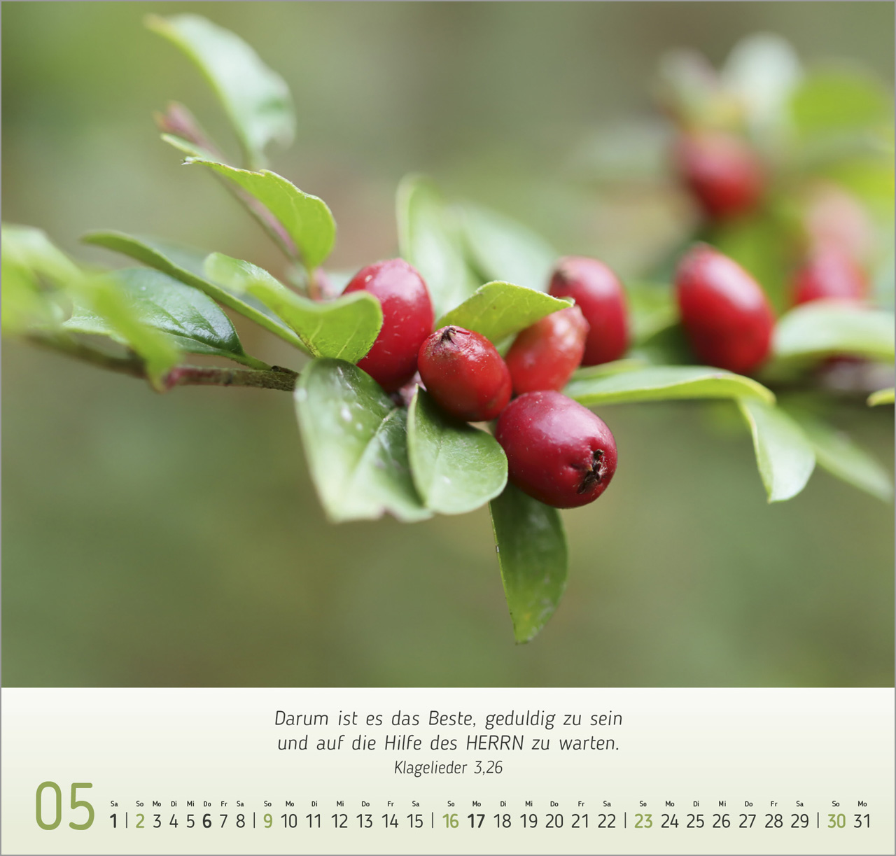 Gesichter der Natur 2027 – Wandkalender