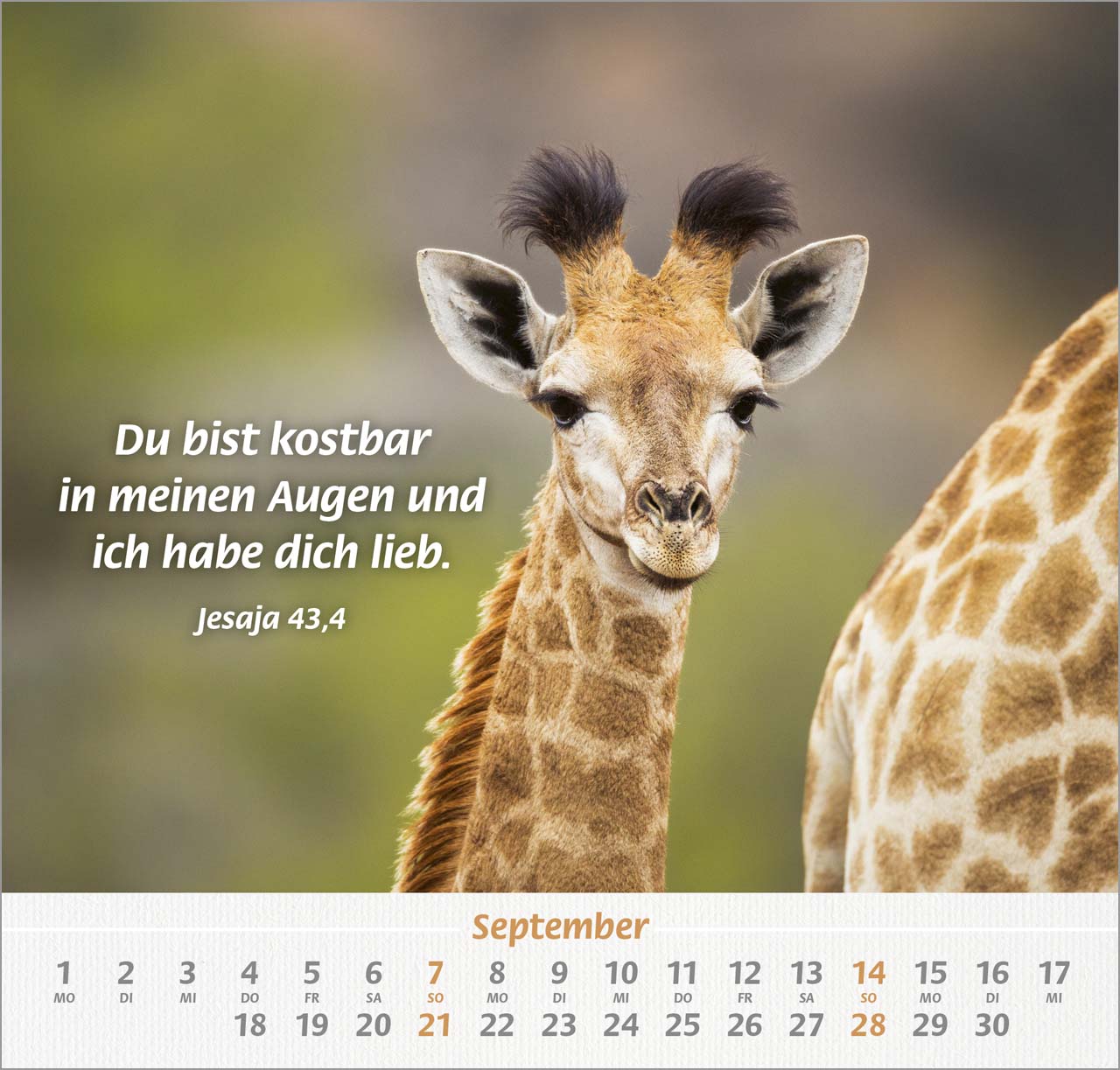 Ich hab dich gern Wandkalender