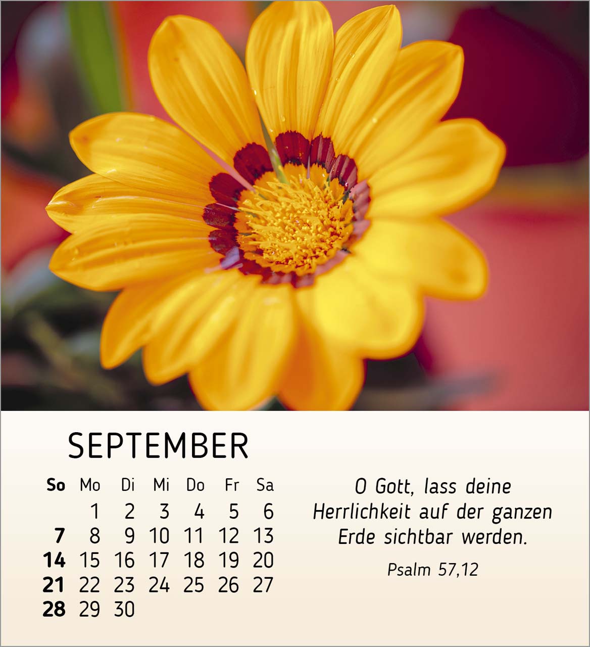 Ich wünsche dir Freude Tischkalender