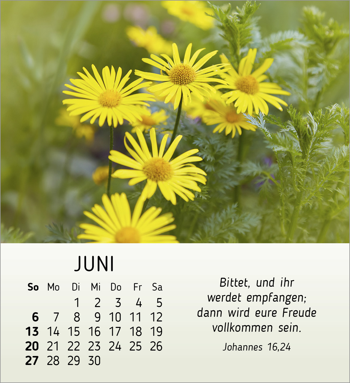 Ich wünsche dir Freude 2027 – Tischkalender