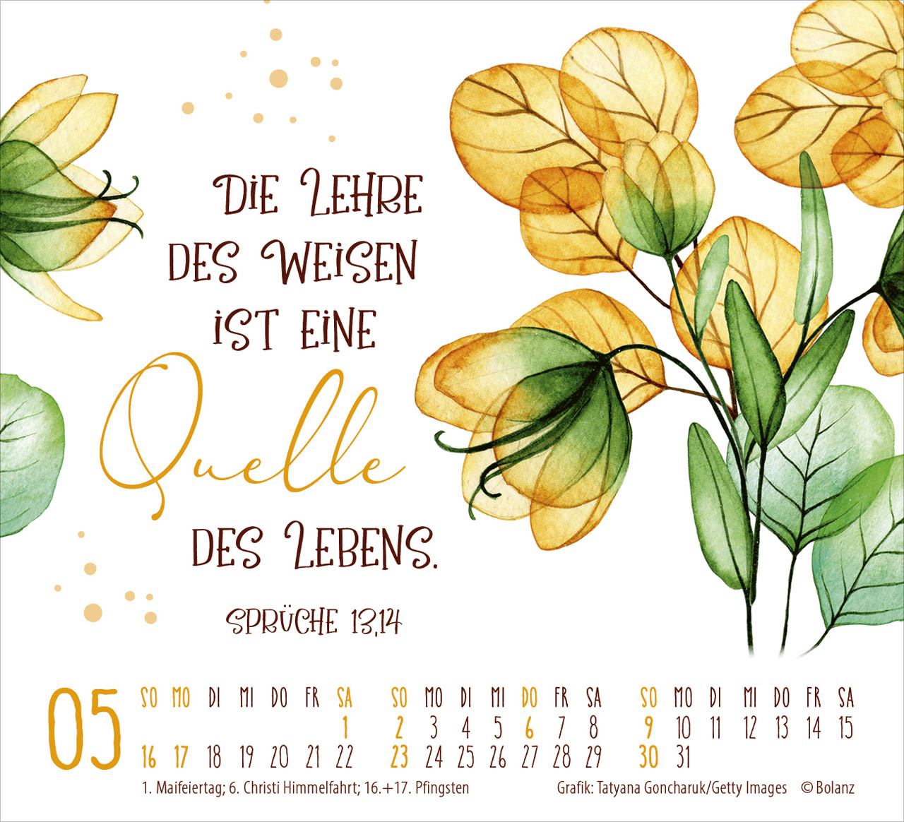 Geschützt in seiner Hand 2027 – Minikalender