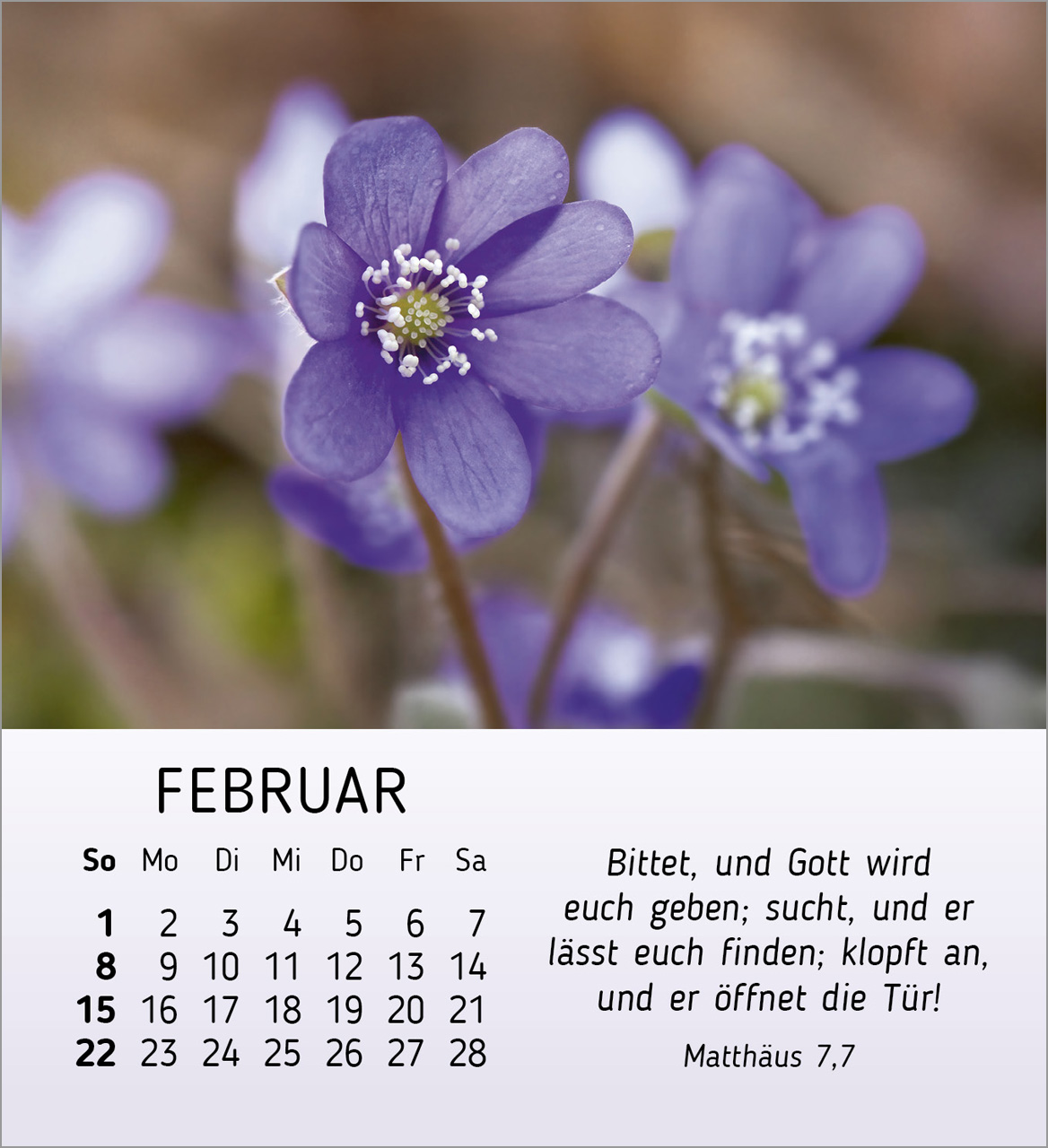 Stille Begegnungen Tischkalender 2026 Stille Begegnungen Tischkalender 2026