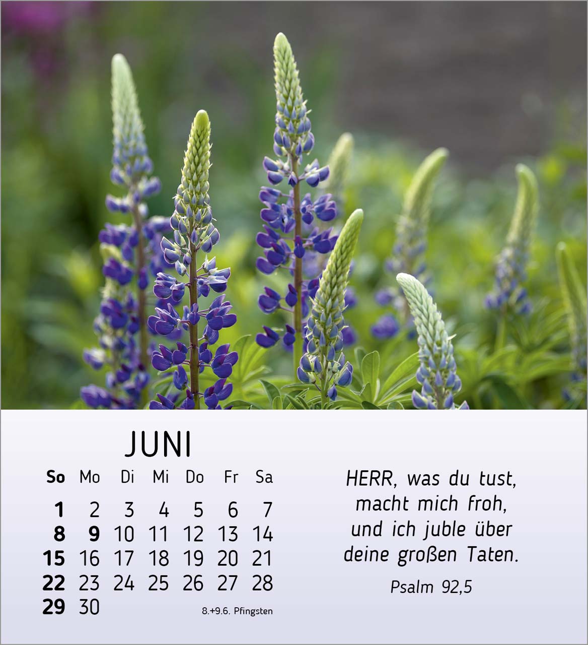 Ich wünsche dir Freude Tischkalender