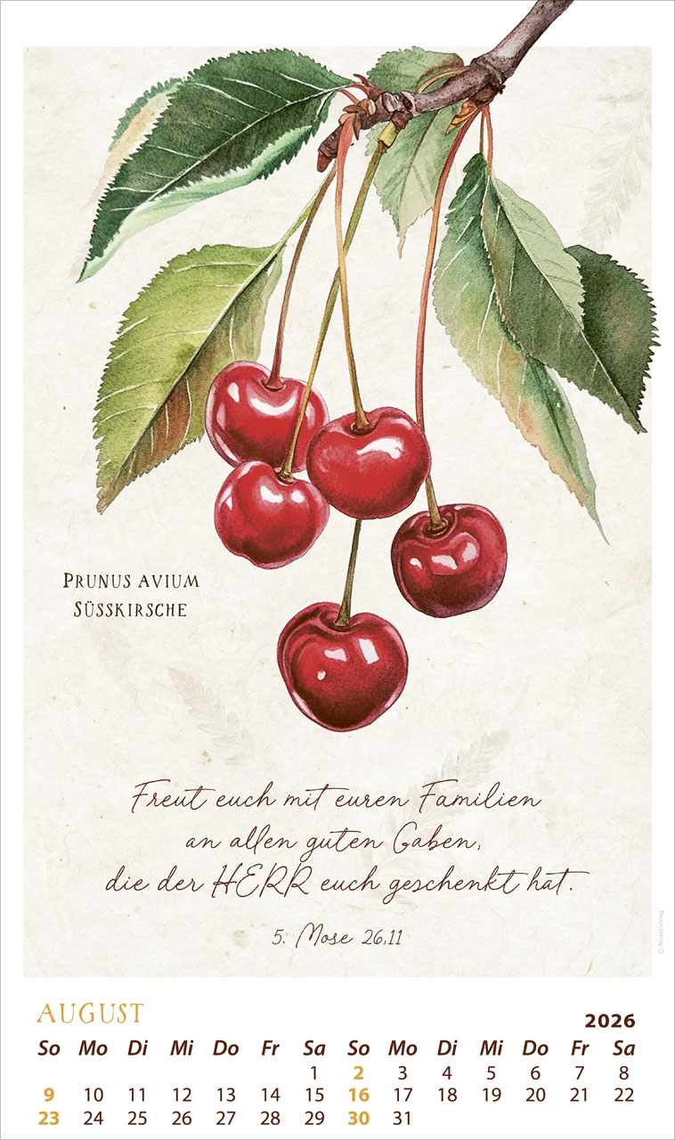 Schmuck Stücke des Schöpfers 2026 - Posterkalender