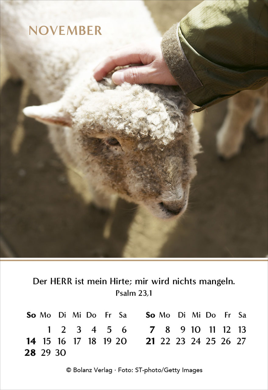 Ein Jahr der Geborgenheit 2027 Minikalender
