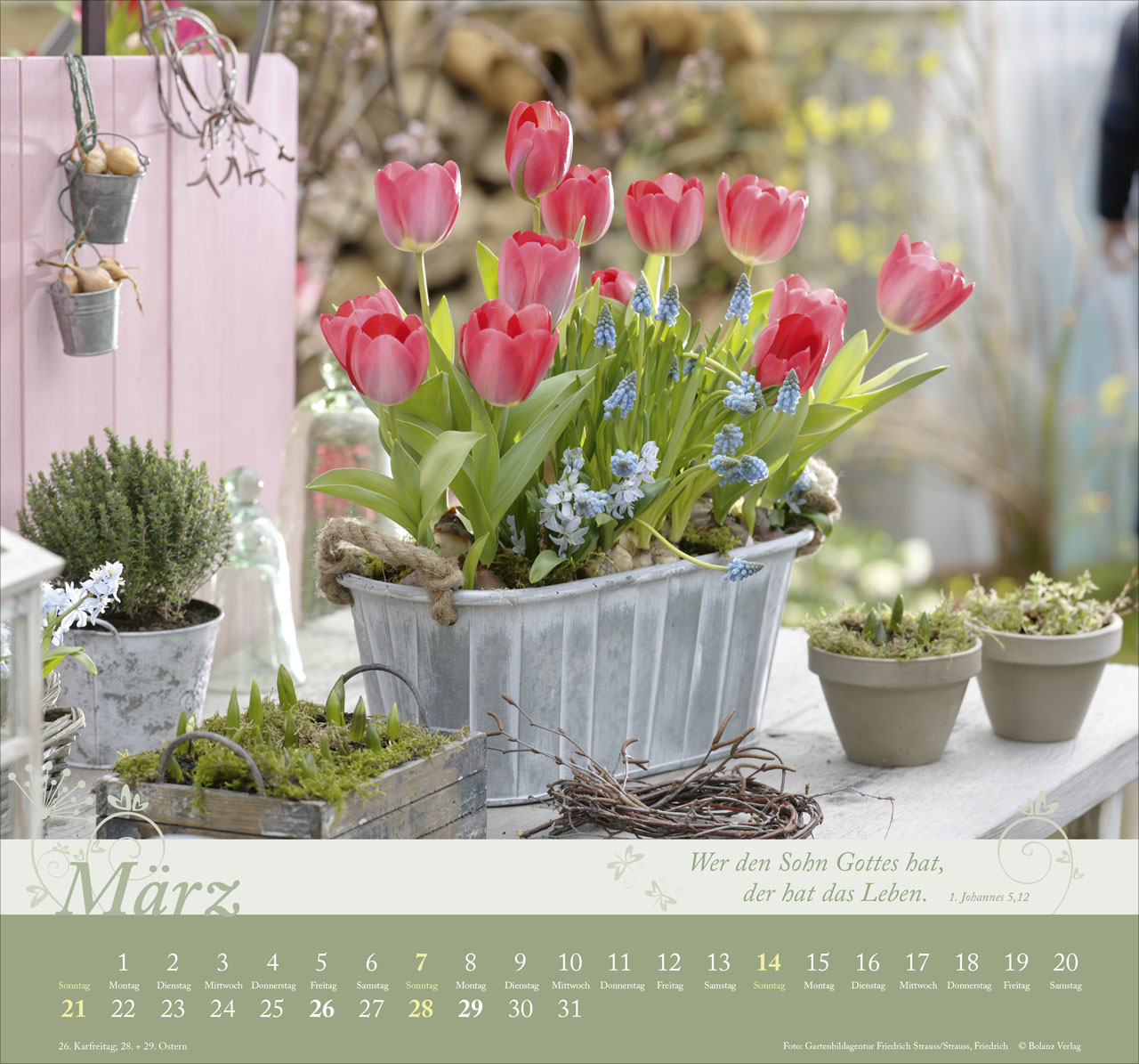 Im Garten zuhause 2027 – Wandkalender