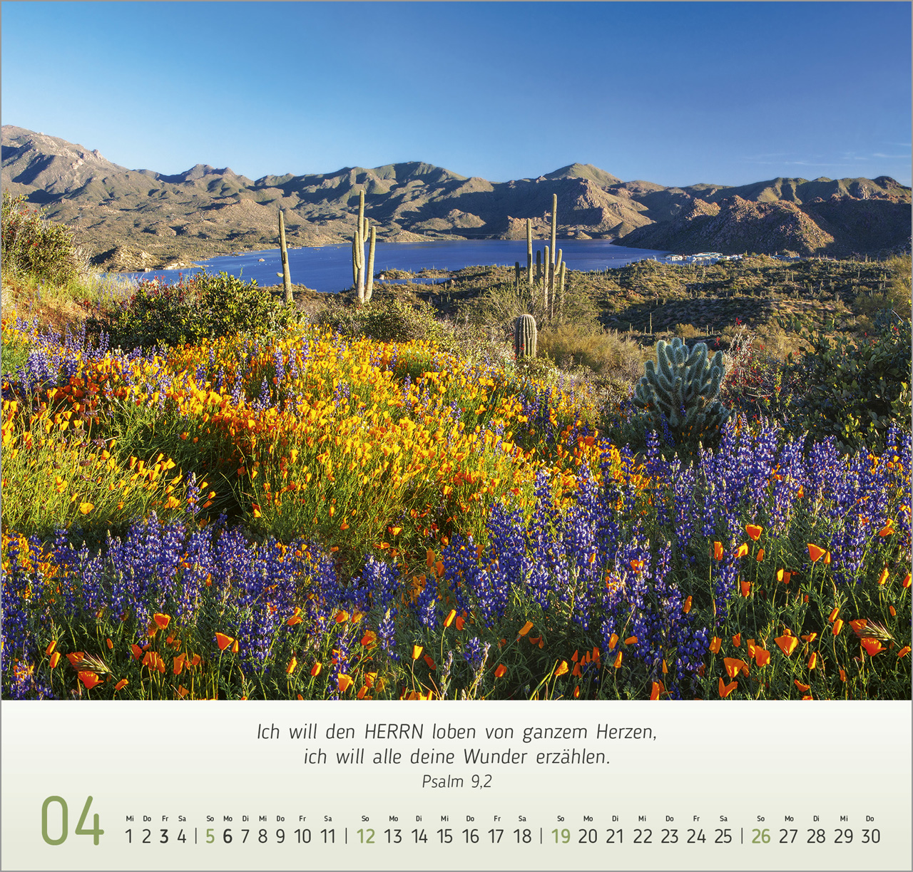 Natur- Impressionen Wandkalender 2026