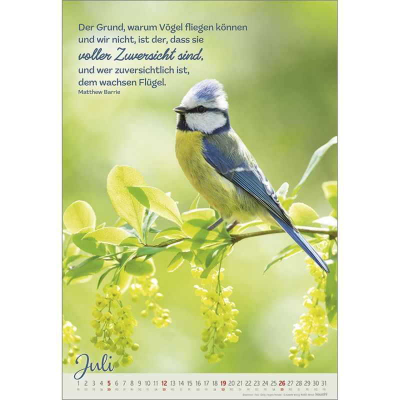 Beflügelt und getragen 2026